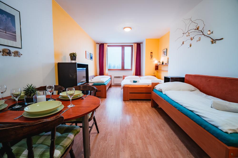 Little Mountain Apartment