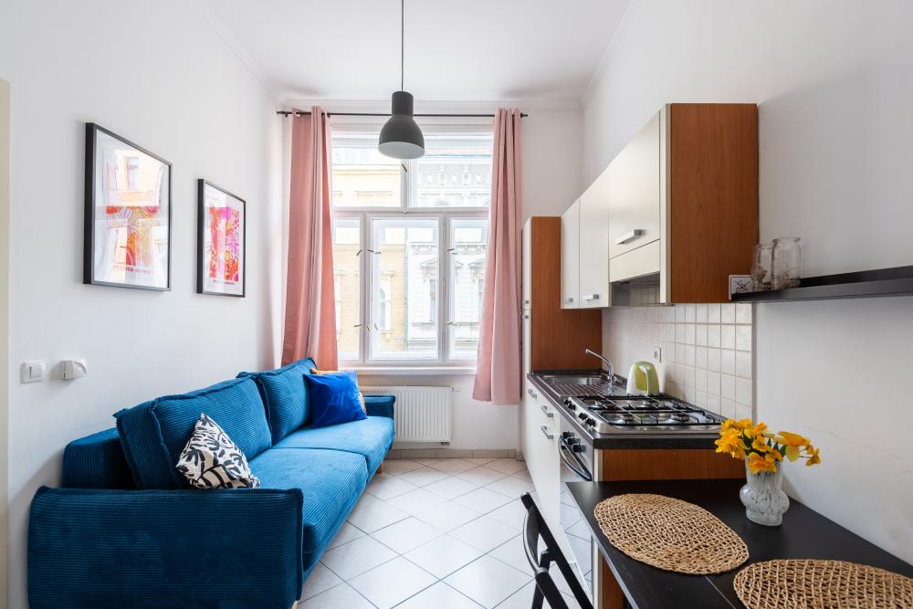 Tyrsova Apartment
